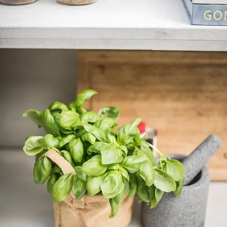 Boutique Kranenbergh מלון ברחן