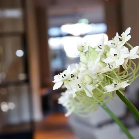 Boutique Kranenbergh 4* Μπέργκεν